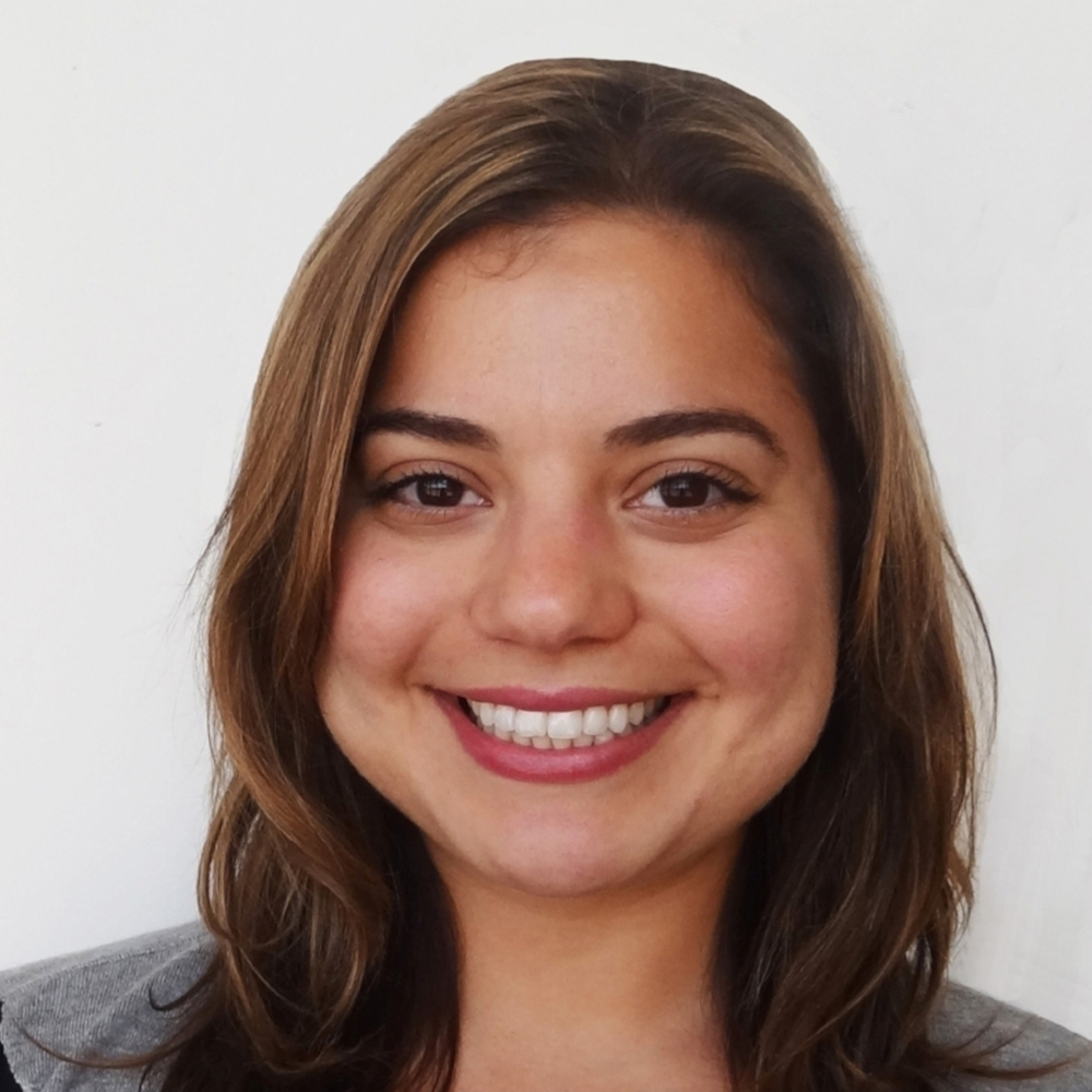 Golnaz Arastoopour Irgens